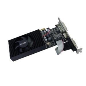 EVM Graphic Card GT 730 4GB