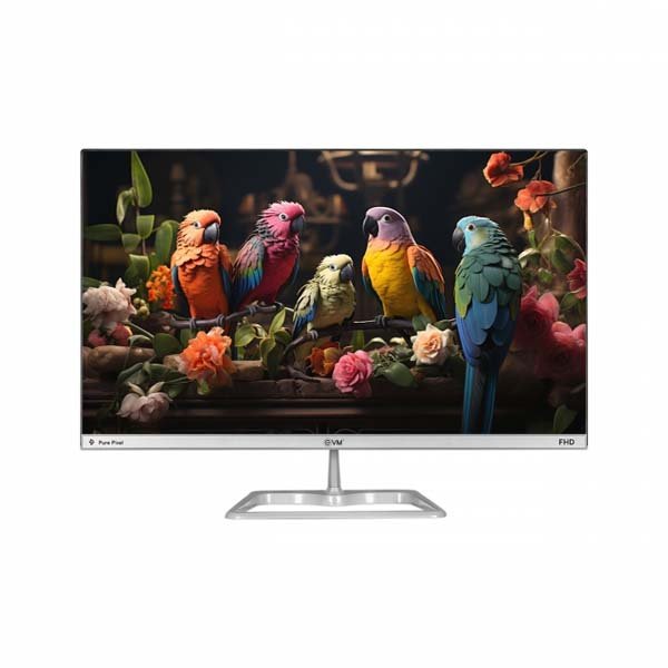 EVM Plasma S220 21.5" 100hz Full HD VA Monitor
